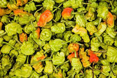 传言PS5 Pro可进行8K分辨率截图